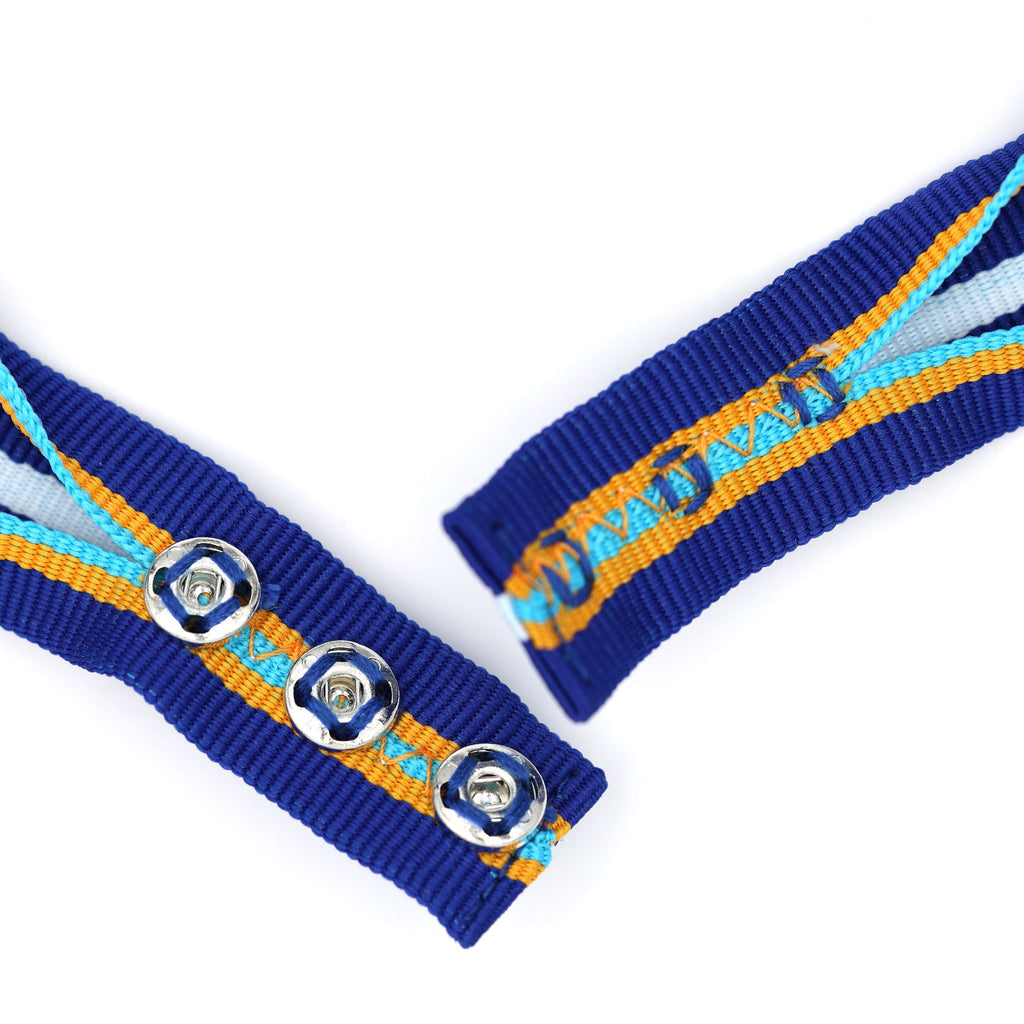 USA 9/11 Heroes Medal of Valor – „Tapferkeitsmedaille der 9/11-Helden“ – Halsband-Ausführung – Sammleranfertigung (Replik)